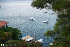 Turunç photo 20