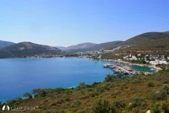 Torba photo 7