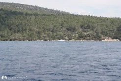 Karasu Koyları photo 8
