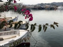 Üçağız Limanı photo 24