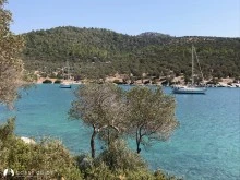 Yamandi Koyu photo 6