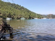 Atbükü (Göcek) photo 14