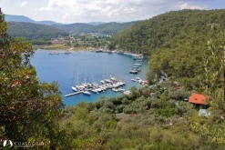 Global Sailing Marinet photo 6