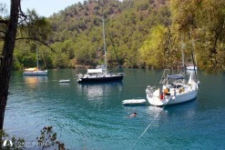 Günlüklü Koy photo 2
