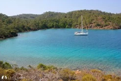 Küçük Çatı Koyu photo 6