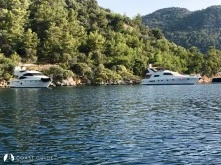 Aşılık Koyu photo 9