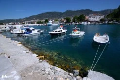 Altınoluk Limanı photo 3