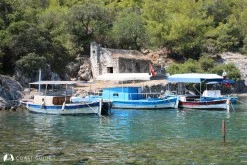 Sarsala Koyu photo 7