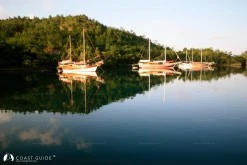 Bencik photo 10