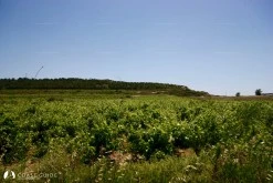 Sulubahçe Bay(Bozcaada) photo 7