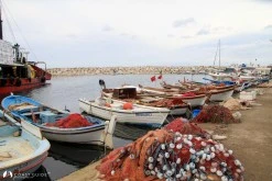Yeni Liman photo 12