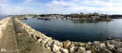 Güzelce Marina photo 11