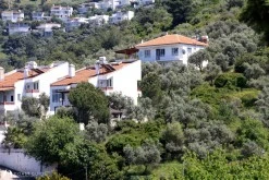 Güllük photo 21