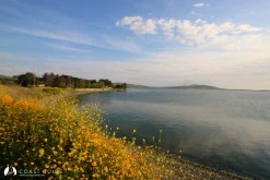 Paşalimanı Adası photo 5