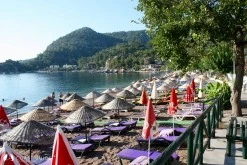 Turunç photo 16