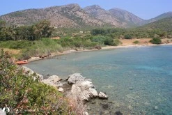 Sarı Liman photo 7