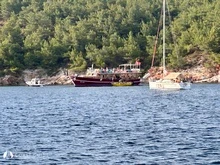 Ortunç Koyu photo 15