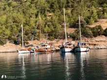 Kargıcık Bükü photo 20
