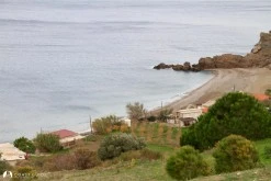 Yeni Liman photo 8