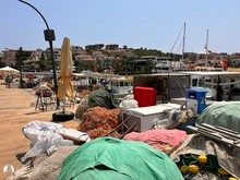 Dalyanköy photo 24