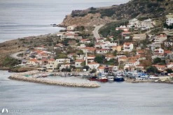 Yeni Liman photo 11