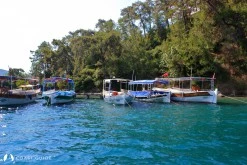 Çamlı Limanı photo 4