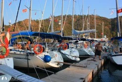 Boynuzbükü photo 7