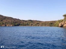 Fener Koyu photo 3