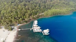 Çamlı Limanı photo 12