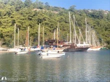 Karacasöğüt photo 21