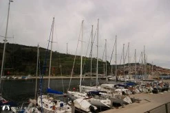 Trilye photo 9