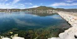 Avşa Adası Yiğitler Barınağı photo 20