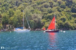 Yıldız Adası - Bedir Adası - Boğaz Koyları photo 9