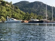 Aşılık Koyu photo 5