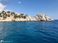 Arap Island photo 11