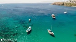 Bağlar Koyu photo 12