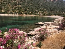 Fakdere Koyu photo 16