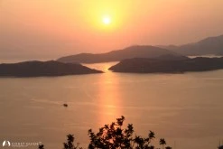 Söğüt Port photo 3