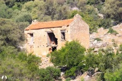 Sıçak Koyu photo 6