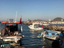Turgutreis photo 8