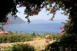 Söğüt Port photo 12