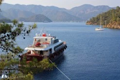Göcek Adası Büyük Koy photo 7