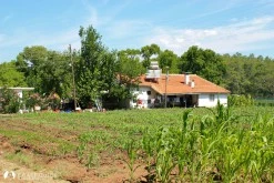 Okluk Koyu photo 10