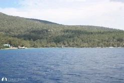 Ardıçlıgil Koyu photo 1