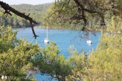 Maden Koyu (Gökova) photo 11