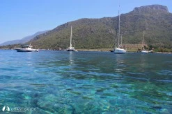 Mersincik Limanı photo 6