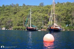 Karacasöğüt photo 8