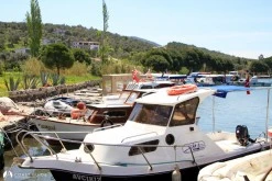 Bademli photo 11