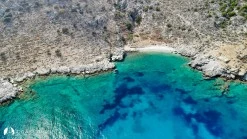 Arap Island photo 14