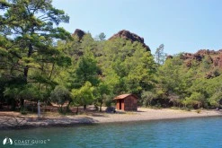 Çamurlu Koy photo 8